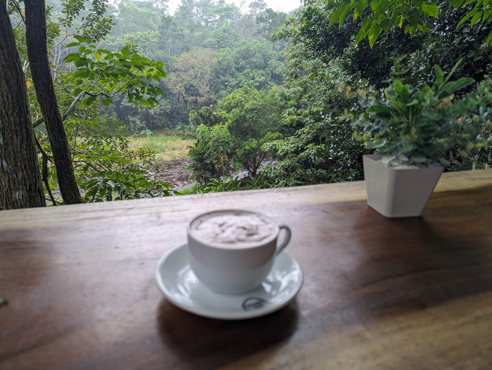 Eden Mocca Experience: Coffee & Chocolate Tour — photo 4