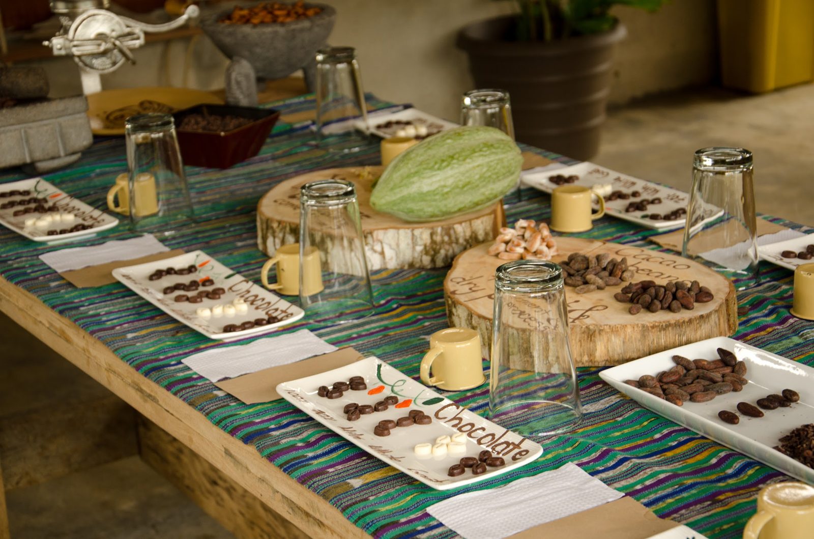 Eden Chocolate Experience: Bean-to-Bar on an Organic Farm — photo 5