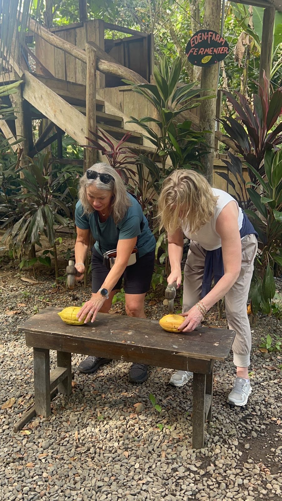Eden Chocolate Experience: Bean-to-Bar on an Organic Farm — photo 13