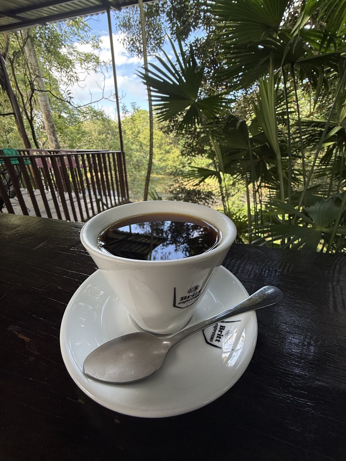 Eden Mocca Experience: Coffee & Chocolate Tour — photo 3