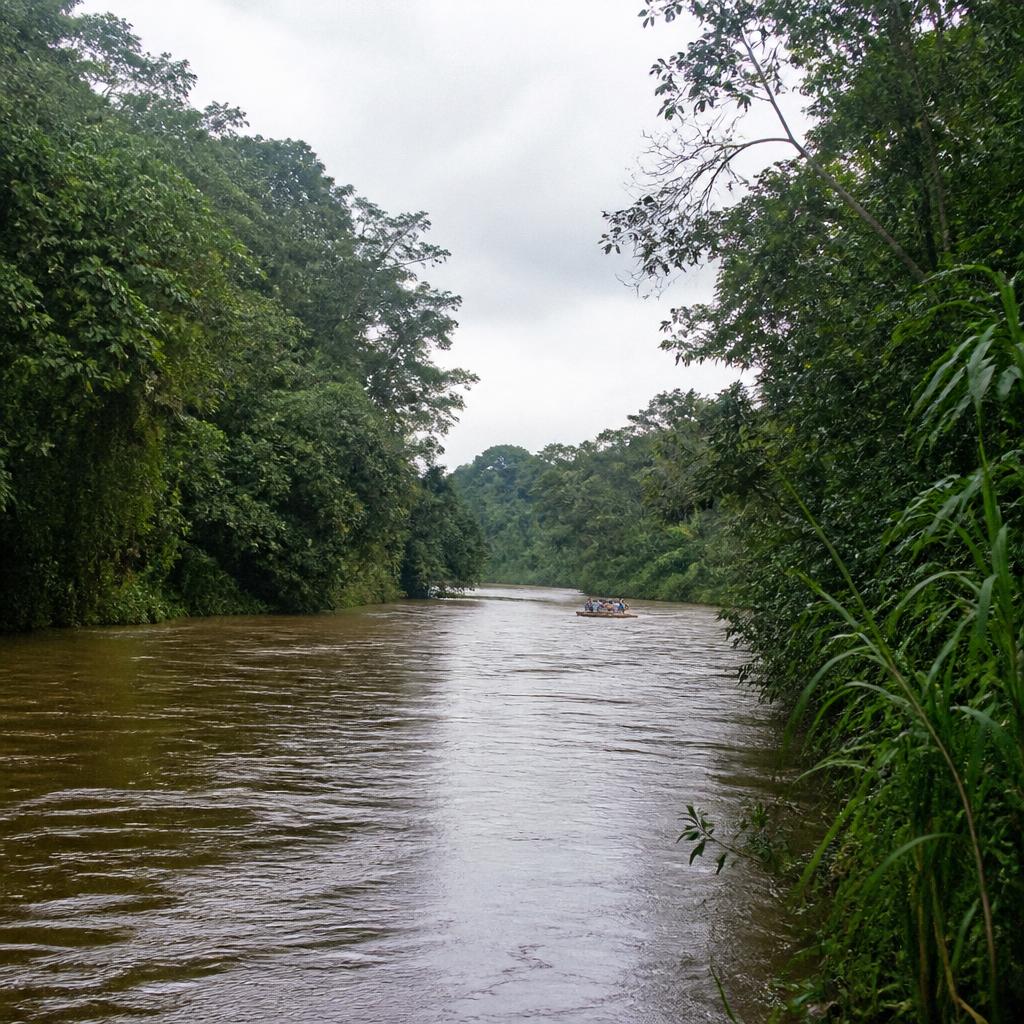 Sarapiquí
