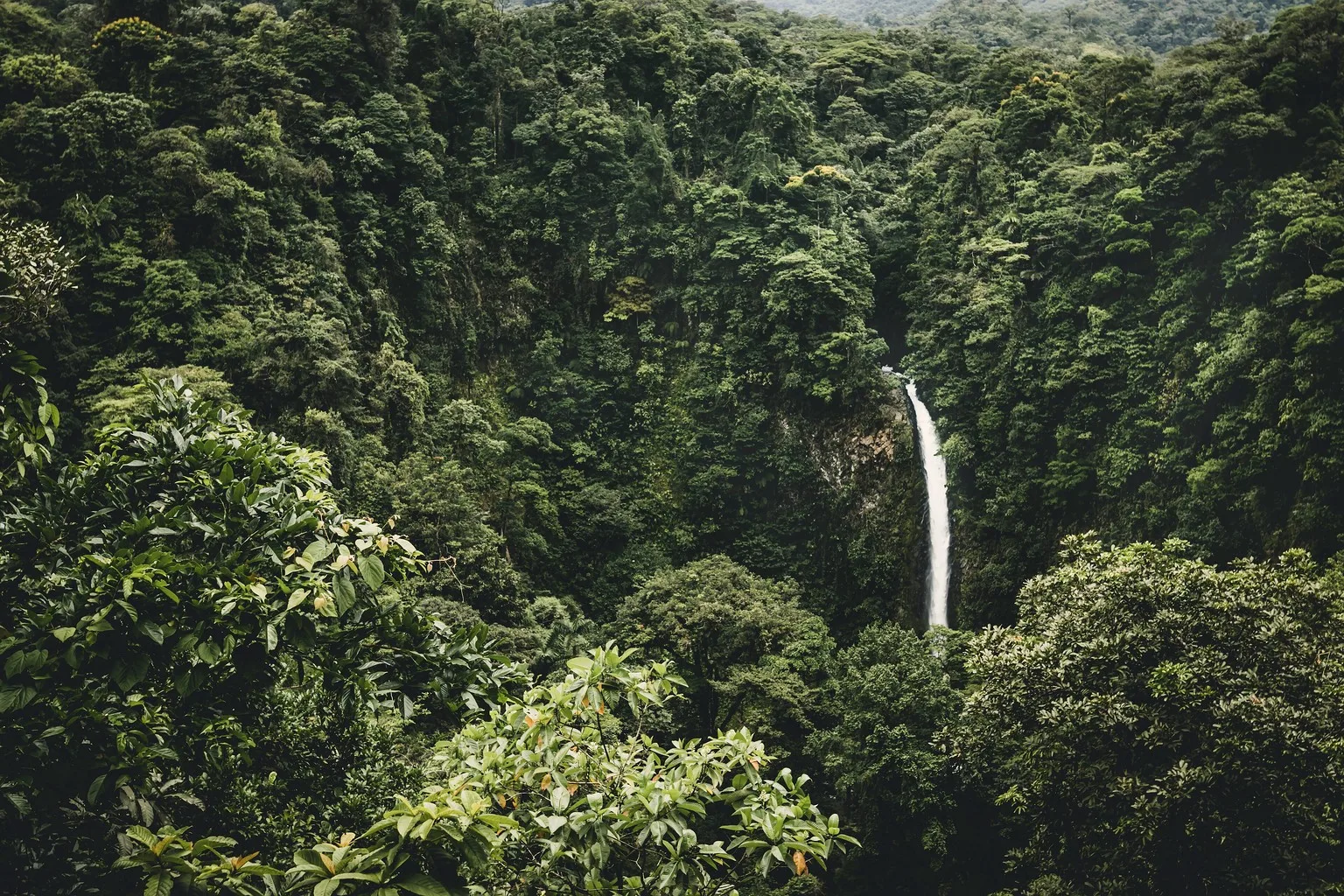 La Fortuna Waterfall dropping into the jungle gorge, seen from the lookout