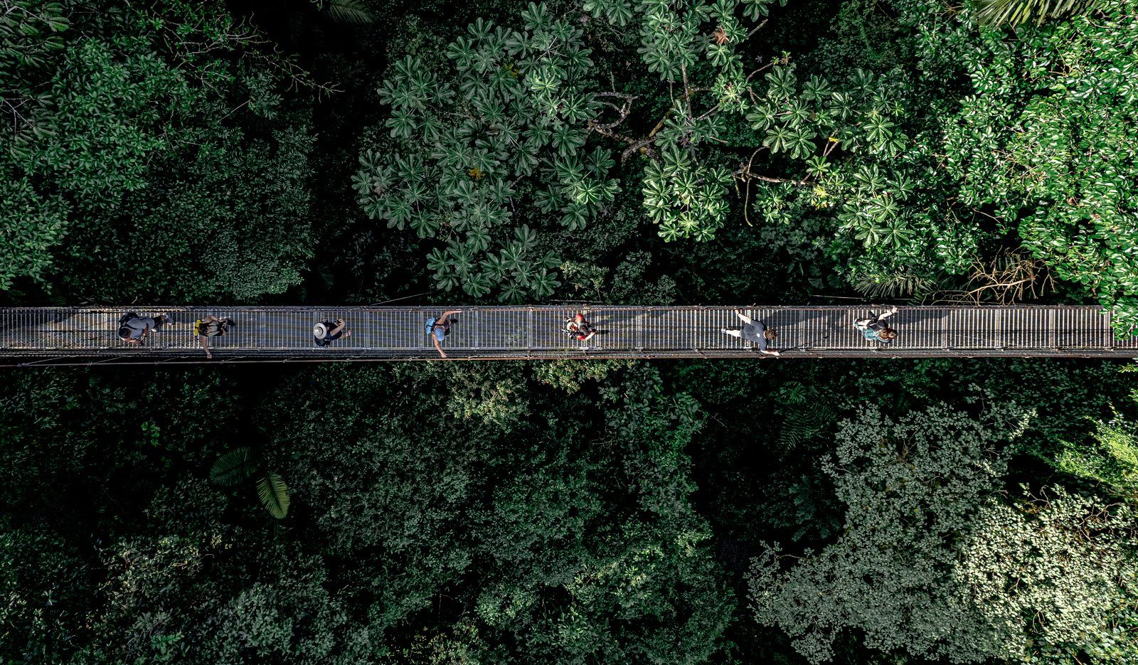 Mistico Hanging Bridges, Lunch & La Fortuna Waterfall — photo 3