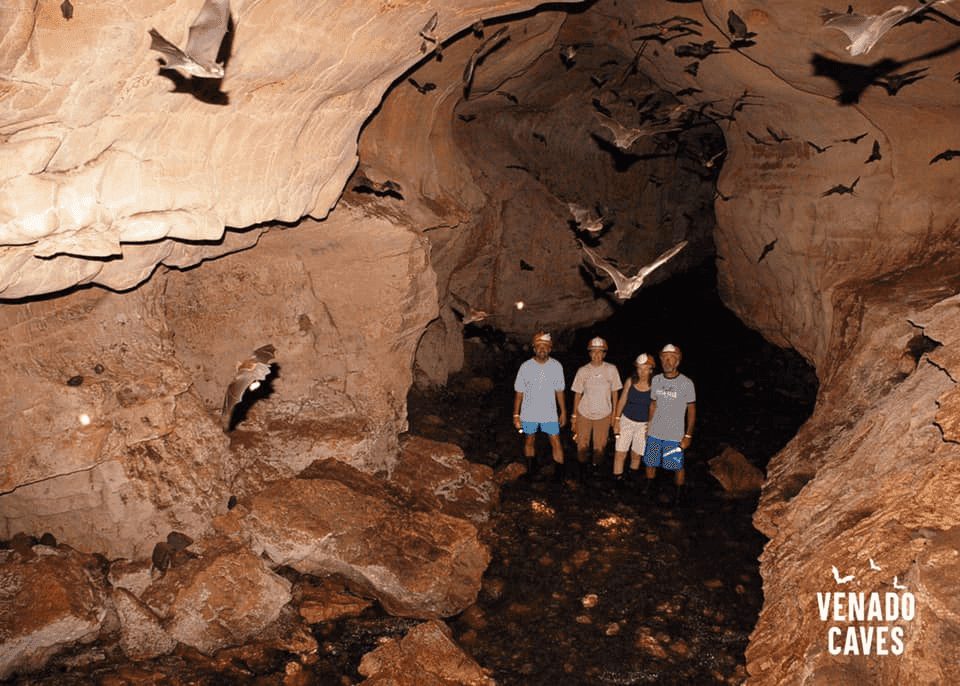 Venado Caves Underground Adventure — photo 13