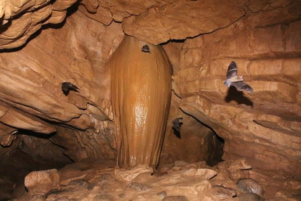 Venado Caves Underground Adventure — photo 4