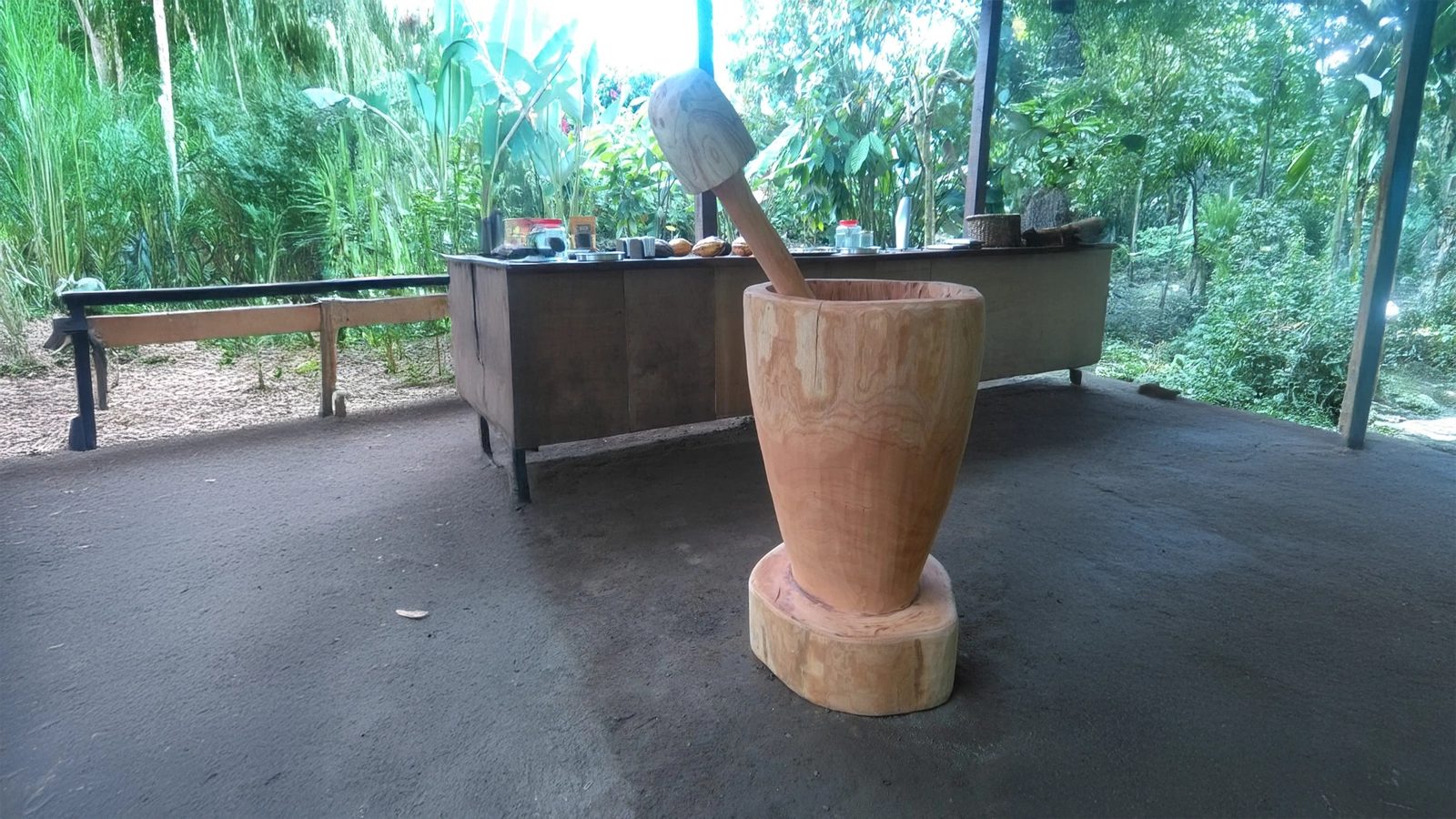 Sloths + Coffee, Chocolate & Sugar Cane Combo — photo 5