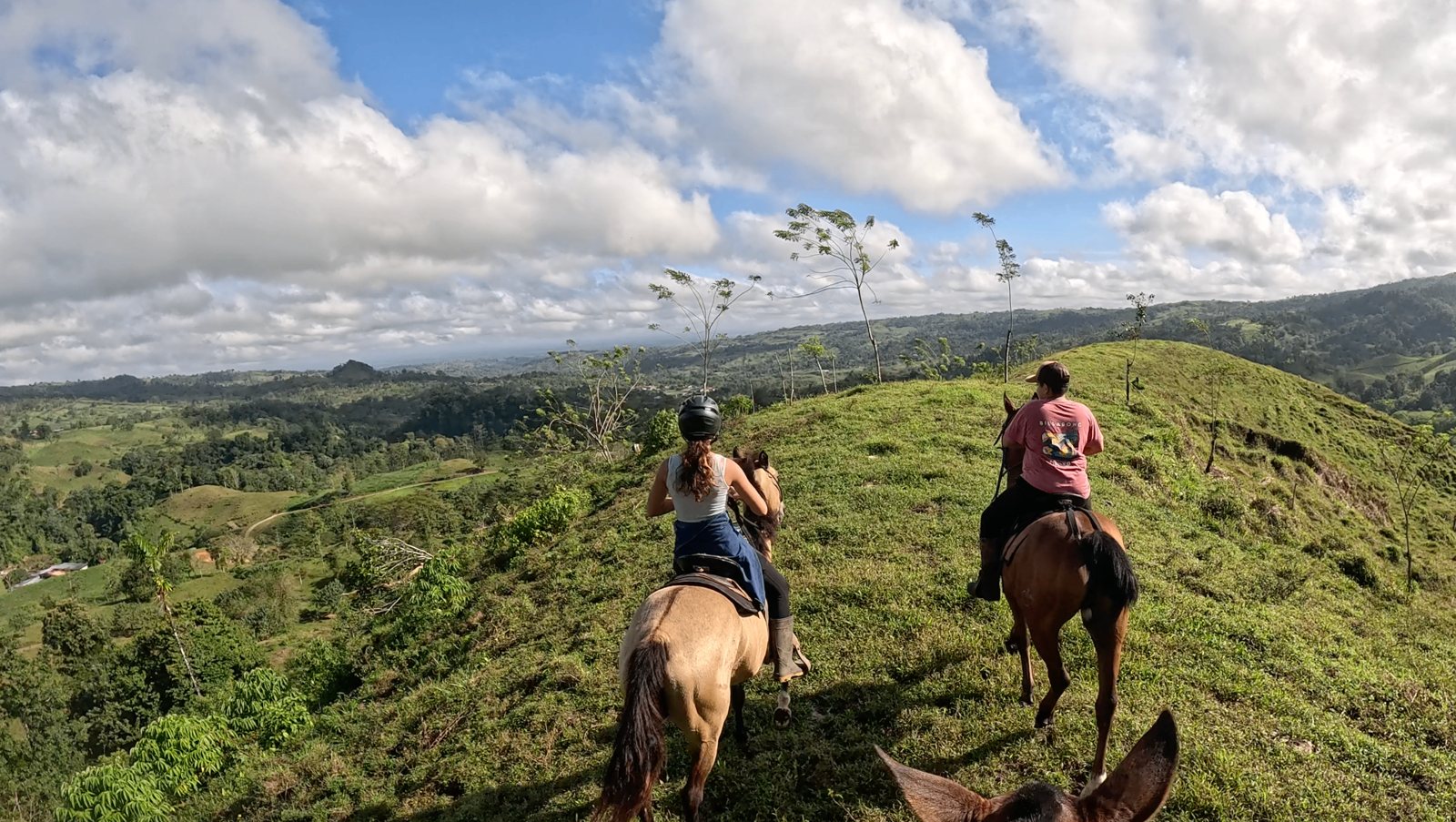 Waterfall Horseback Ride & Farm Visit — photo 2