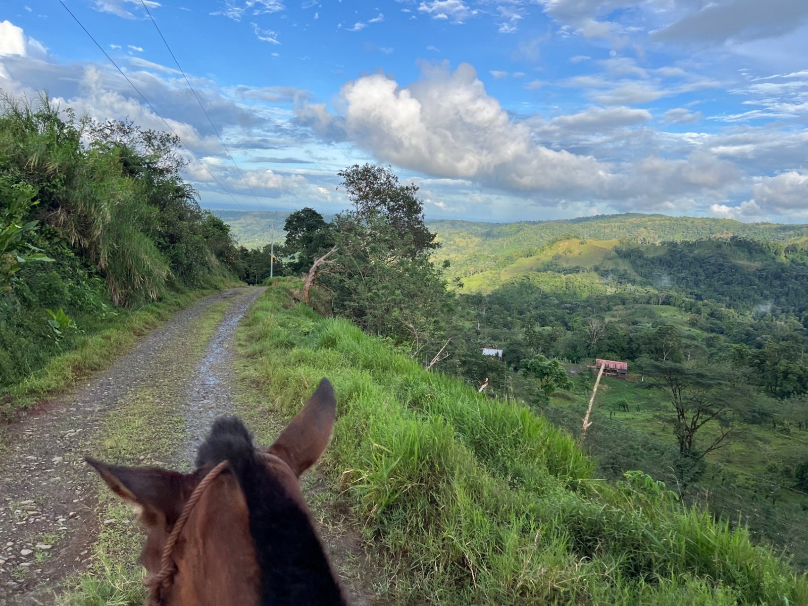 Waterfall Horseback Ride & Farm Visit — photo 6
