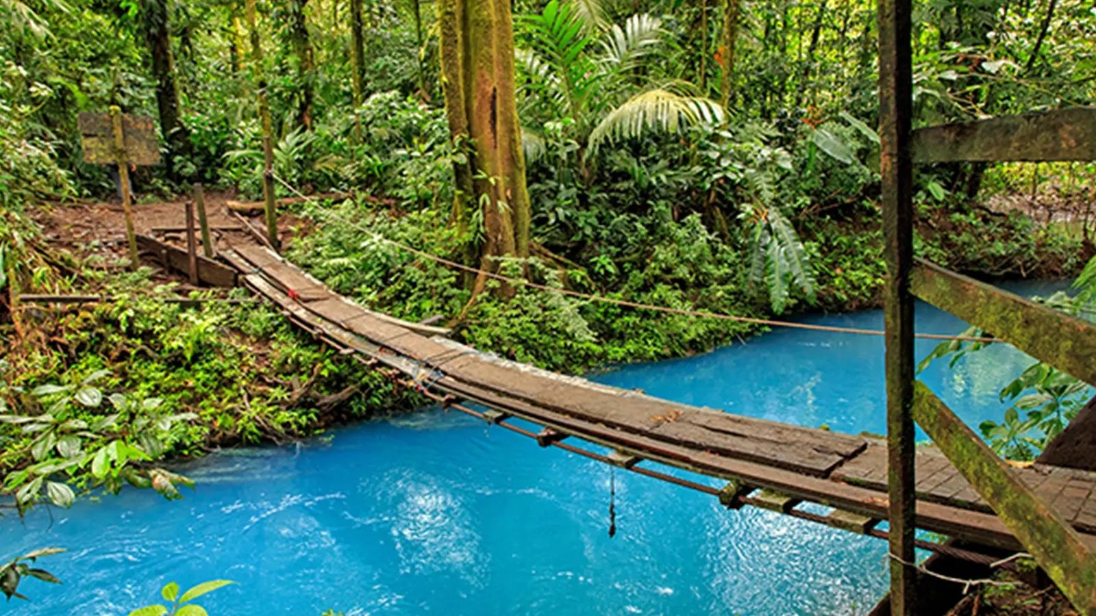 Rio Celeste & Tenorio Volcano National Park — photo 4