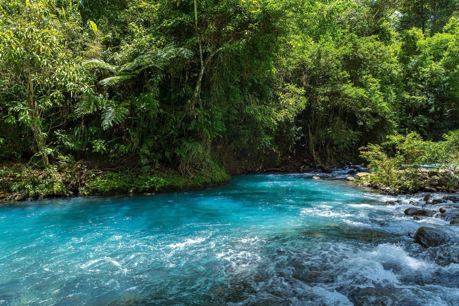 Rio Celeste & Tenorio Volcano National Park — photo 2