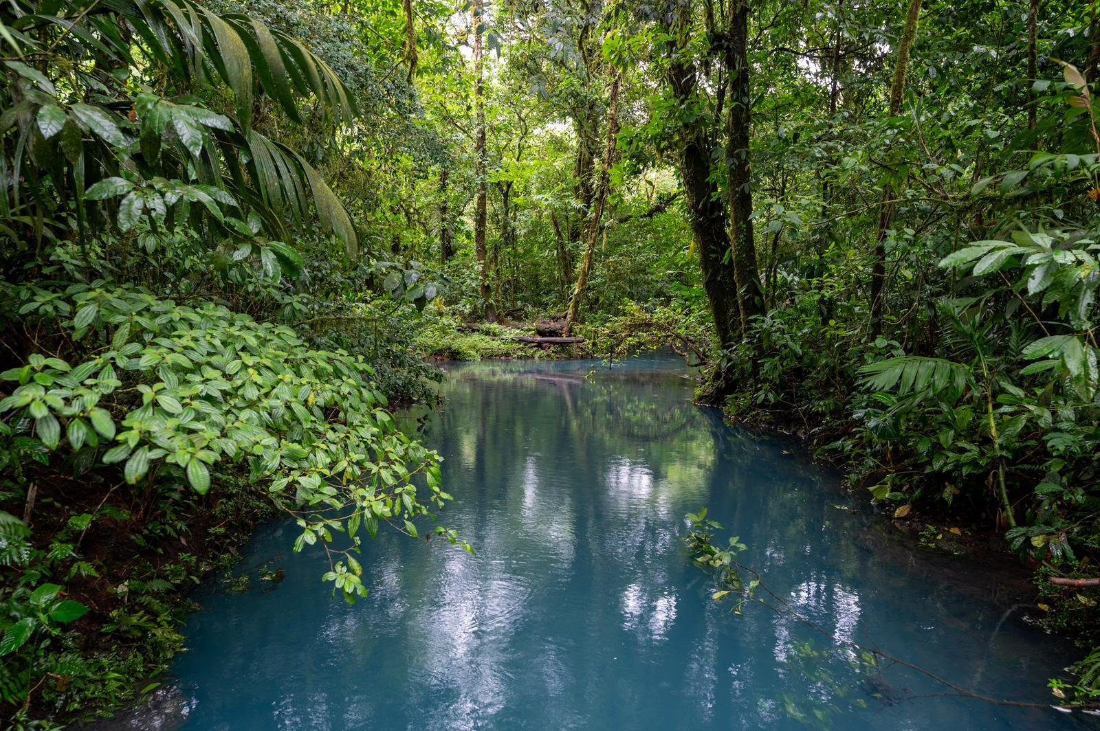Rio Celeste & Tenorio Volcano National Park — nature tour in La Fortuna, Costa Rica