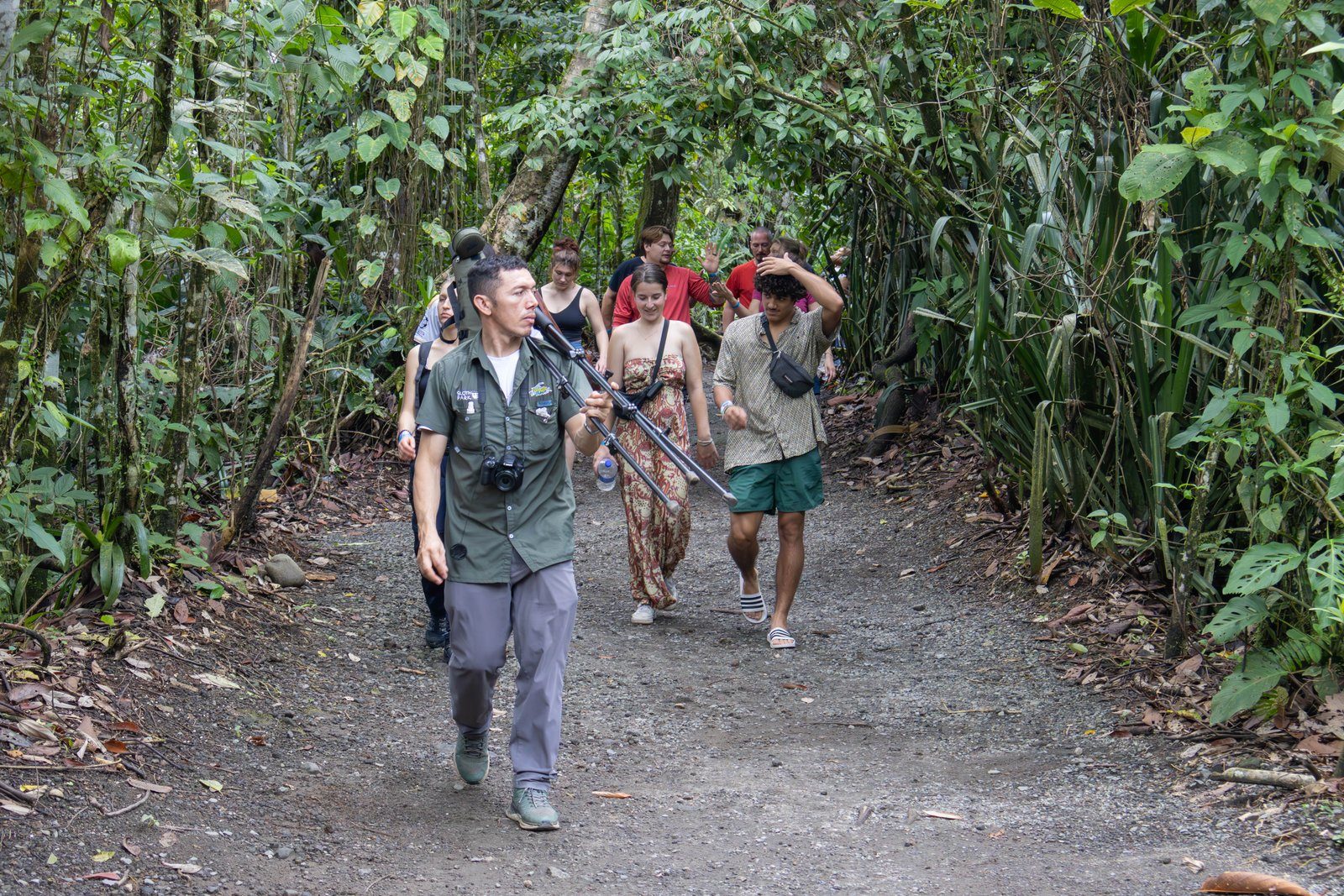 Canopy + Sloth Tour — photo 3