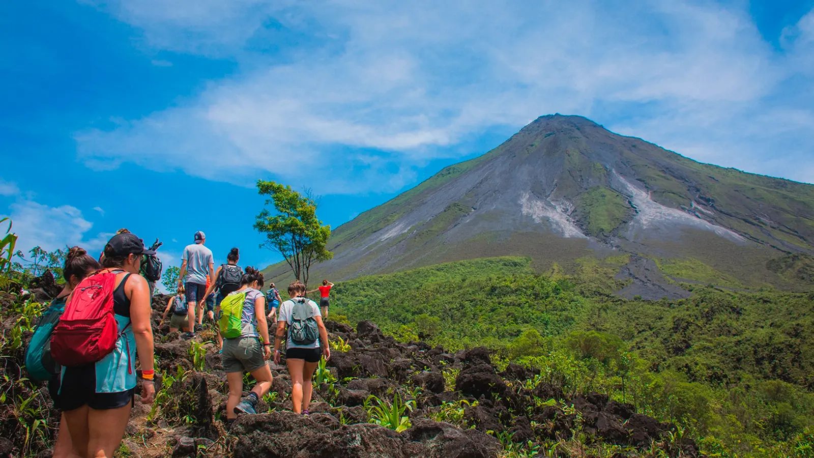 Volcano Hike, Lunch, Mistico Hanging Bridges & Hot River — photo 6