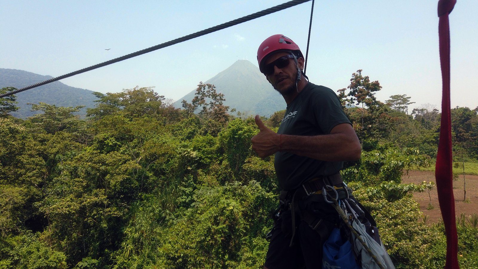 Canopy + Sloth Tour — photo 7