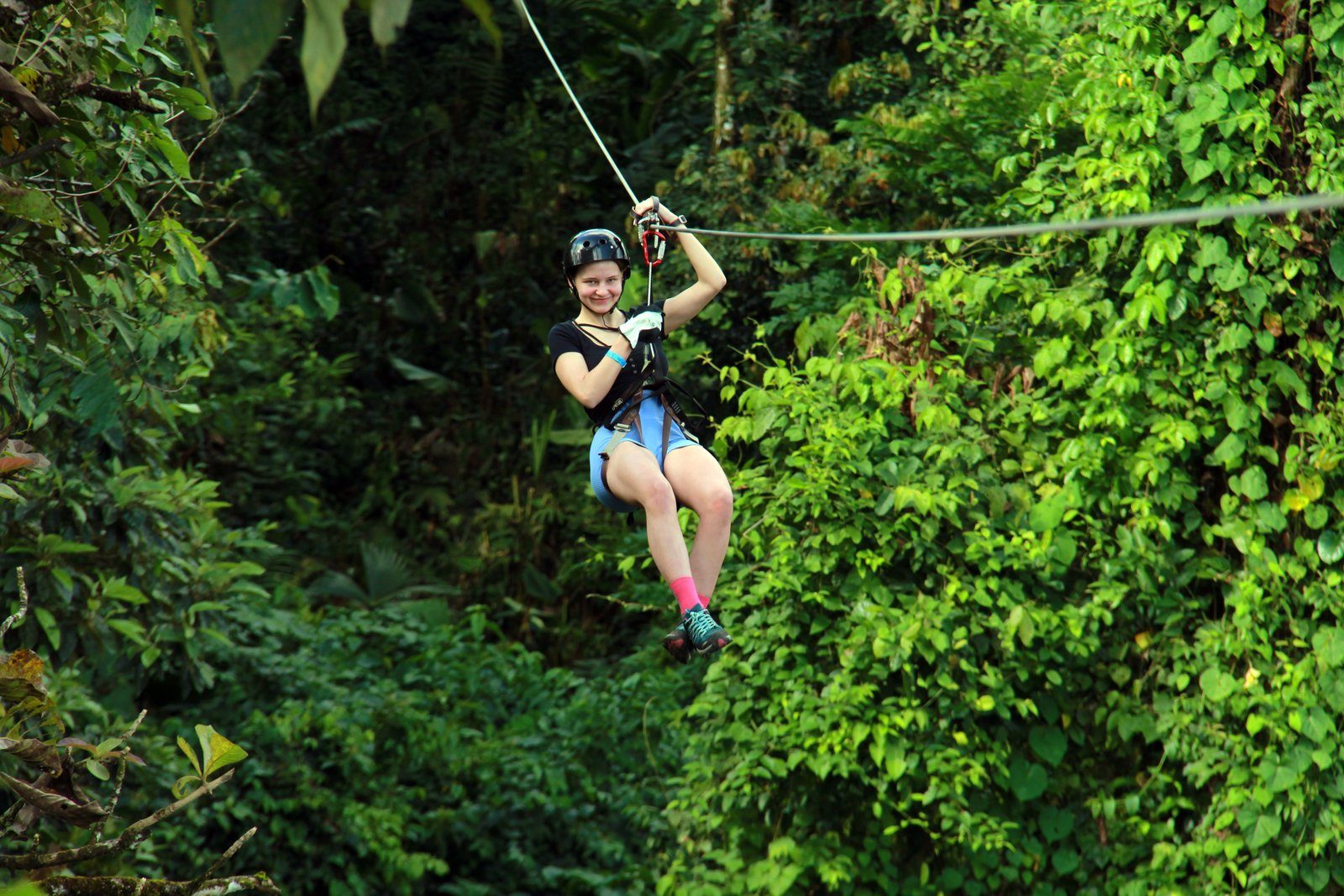 Canopy + Sloth Tour — photo 4